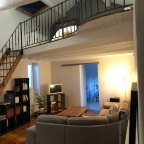 Appartement charmant et climatisé avec jardin